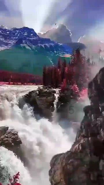 曹海燕代表:为推进吉林全面振兴率先实现新突破贡献医药力量